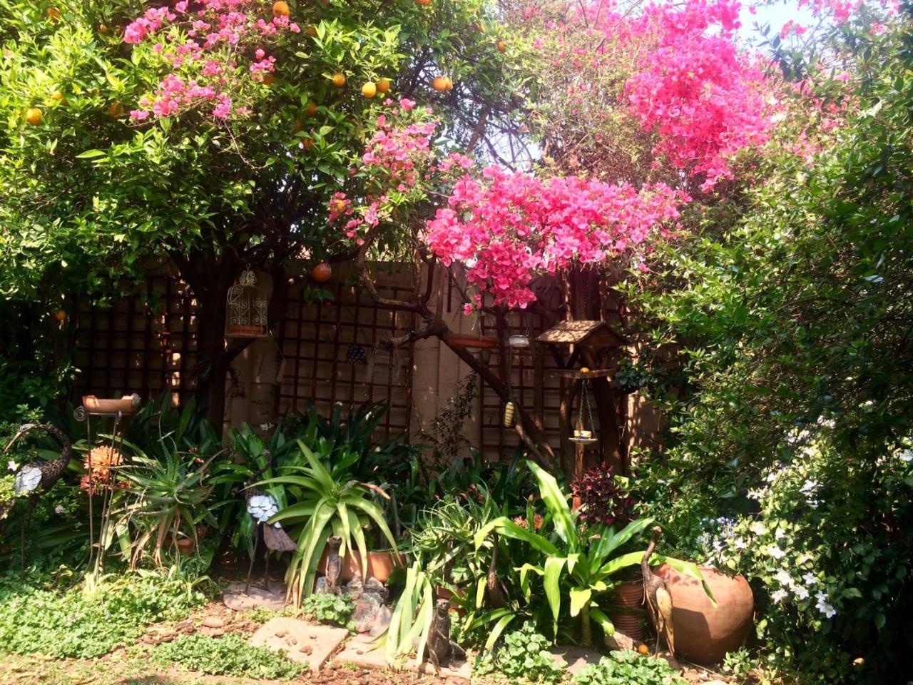 Claires Of Sandton Luxury Guest House Йоханнесбург Экстерьер фото
